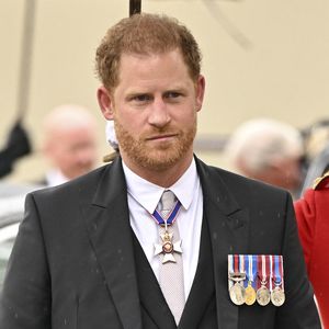 Kein Teil der Thronfolgeplanung: Prinz Harry soll es hassen!