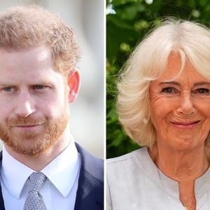 Zu Harrys Rückkehr in die UK: Königin Camilla soll helfen