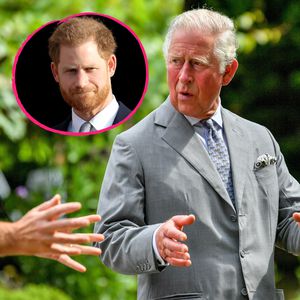 Verletzt: Prinz Charles will an Beziehung mit Harry arbeiten