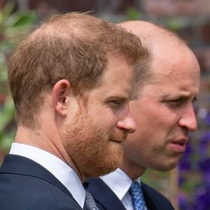 Kurz vor Ausstrahlung: Palast zensiert Harry-William-Doku