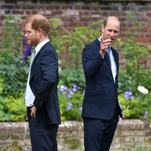 Eifersucht? So begann Prinz Harry und Prinz Williams Streit