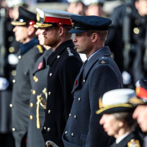 Weiteres Royal-Buch untersucht Harry und Williams Beziehung
