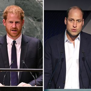 Fans mutmaßen: Hat Prinz Harry die Rede von William geklaut?