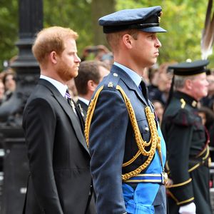 "Plan B": Prinz Harry fühlte sich wie Williams Ersatzmann!