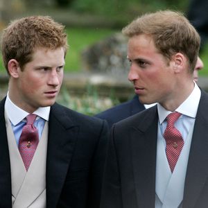 Harry eröffnet: Das verabscheute Prinz William als Kind sehr