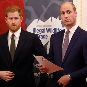 Steht Harrys Buch der Versöhnung mit Prinz William im Wege?
