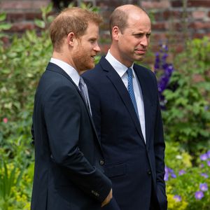 Darum verfassten William und Harry die Diana-Rede gemeinsam