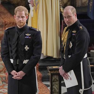 Dianas Skandal-Interview: Harry und William halten zusammen