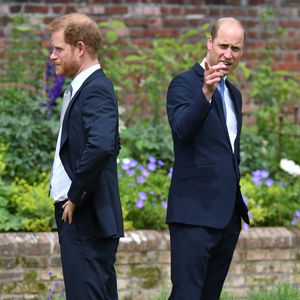 Prinz Harrys Doku: Bruder William soll "sehr wütend" sein