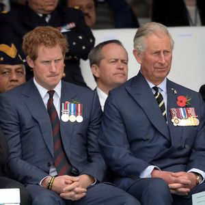 Prinz Harry will wieder Kontakt: Das denkt König Charles!
