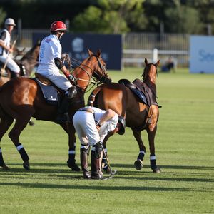Peinliche Polo-Panne: Prinz Harry plumpst vom Pferd