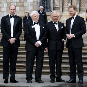Versöhnung? Harry und William sollen sich wieder annähern!