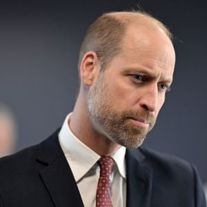 Prinz William betont Distanz zu Andrew im Epstein-Skandal