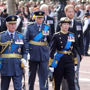 Hier laufen William und Harry Seite an Seite bei Prozession