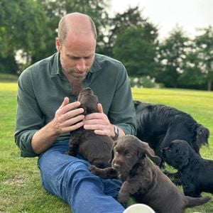 Prinz William und Kate werden wegen Hundezucht kritisiert