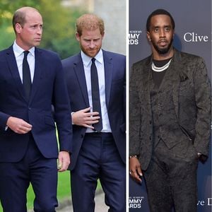 Prinz William und Harry bekamen Einladungen von P. Diddy