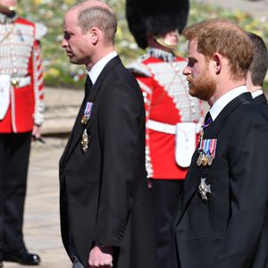 Insider weiß: William und Harry zofften sich auf Beerdigung