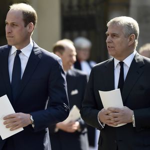 Auch William sicher: Prinz Andrew bekommt Titel nicht zurück