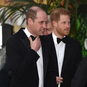 "Auf verschiedenen Pfaden": Harry über Zwist mit William