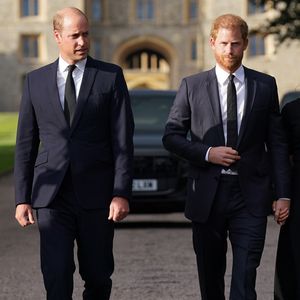 Kann Dianas Familie Harrys Streit mit Prinz William beenden?