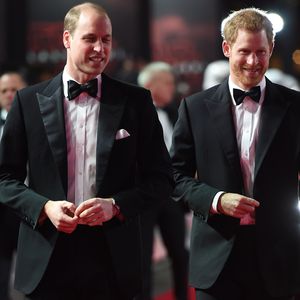 Nach der Doku-Ausstrahlung: William suchte Kontakt zu Harry