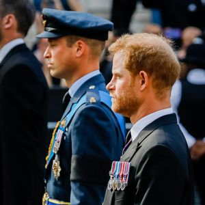 Hat Prinz William das Bild mit Harry absichtlich platziert?