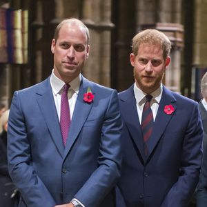 Bestätigt: Dianas Familie wird William und Harry begleiten