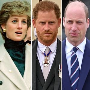 Prinzessin Diana wäre einzige Rettung für die royalen Brüder