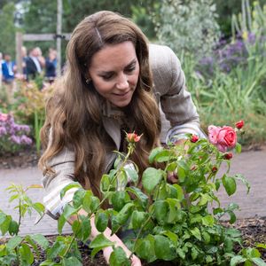 Fans begeistert: Prinzessin Kate verzichtet auf Handschuhe