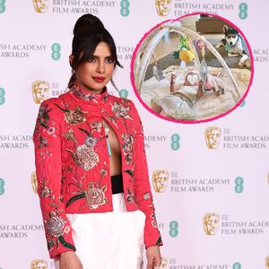 Süße Rasselbande: Priyanka Chopra zeigt Malti mit Hunden