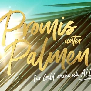 Regel nicht gecheckt: Ihn trifft "Promis unter Palmen"-Exit