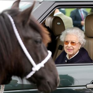 Wie geht es dem Lieblingspony von Queen Elizabeth II. (†96)?