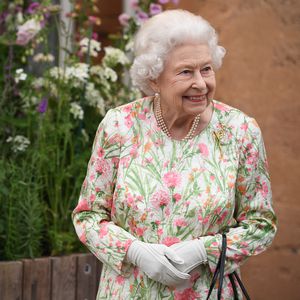 An Prinz Philips Geburtstag: Queen hat neuen Welpen bekommen