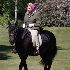 Vor 73. Hochzeitstag mit Philip: Die Queen genießt Ausritt