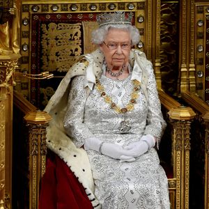 Die Queen ist bestürzt: Ihr vorletzter Hund Vulcan ist tot!