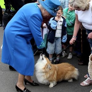 1. Mal: Queen Elizabeth II. & ihre Hunde auf Magazin-Cover!