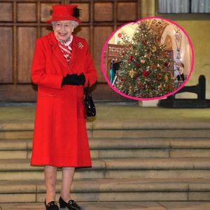 Sechs Meter hoch! So sieht der Weihnachtsbaum der Queen aus