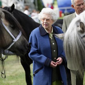 Nach Philips Tod: Die Queen lenkt sich mit ihren Pferden ab