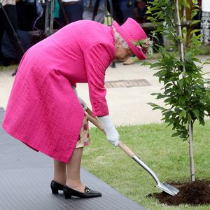 Baum gepflanzt: Hier greift die Queen selbst zum Spaten!