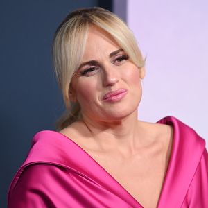 Rebel Wilson, Schauspielerin