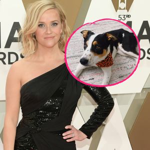 Nach Trauer um Bulldogge: Reese Witherspoon hat neuen Hund
