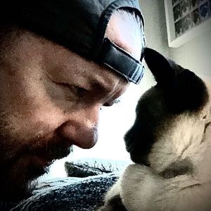 Social-Media-Katze Ollie ist tot: Ricky Gervais trauert