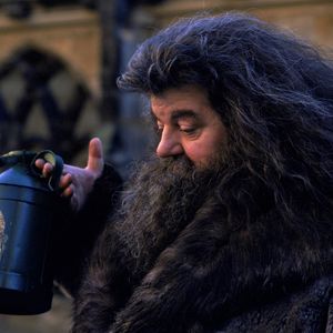 Dieser Star soll Hagrid in der "Harry Potter"-Serie spielen