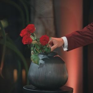 Alles vorbei? Sie fliegen in der achten Bachelors-Folge raus