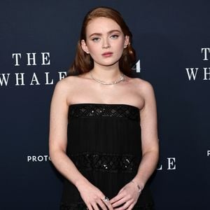 "Spider-Man 4": Spielt Sadie Sink diese gefeierte Mutantin?