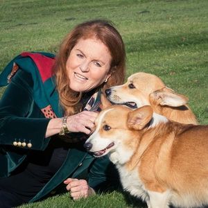 Corgis der Queen fühlen sich bei Frauchen Fergie total wohl