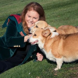 Sarah Ferguson sendet Weihnachtsgrüße mit Corgis der Queen