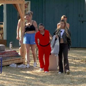 "Der Promihof"-Star muss Show krankheitsbedingt verlassen