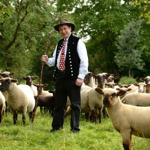Schäfer Heinrich ist pleite und muss Schafherde halbieren!