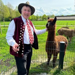 Nach Liebesschwindel: Schäfer Heinrich beim Speed-Dating!